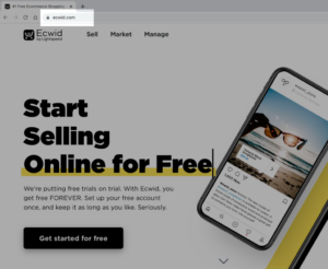 De eenvoudigste manier om een ​​domein voor een online winkel te kopen