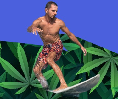 Evoluția surfingului și a canabisului - Unde legalizarea pune o relație sacră