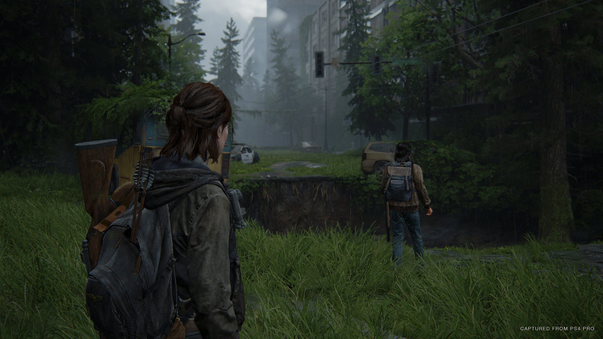 The Last of Us 2 Remastered 