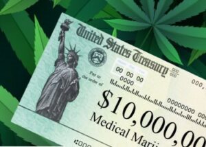 Den amerikanske føderale regjeringen bruker 10 millioner dollar på å studere effekten av medisinsk marihuana på mennesker