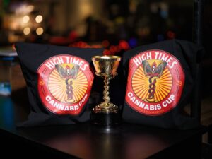 De winnaars van de High Times Cannabis Cup Massachusetts: People's Choice Edition 2023