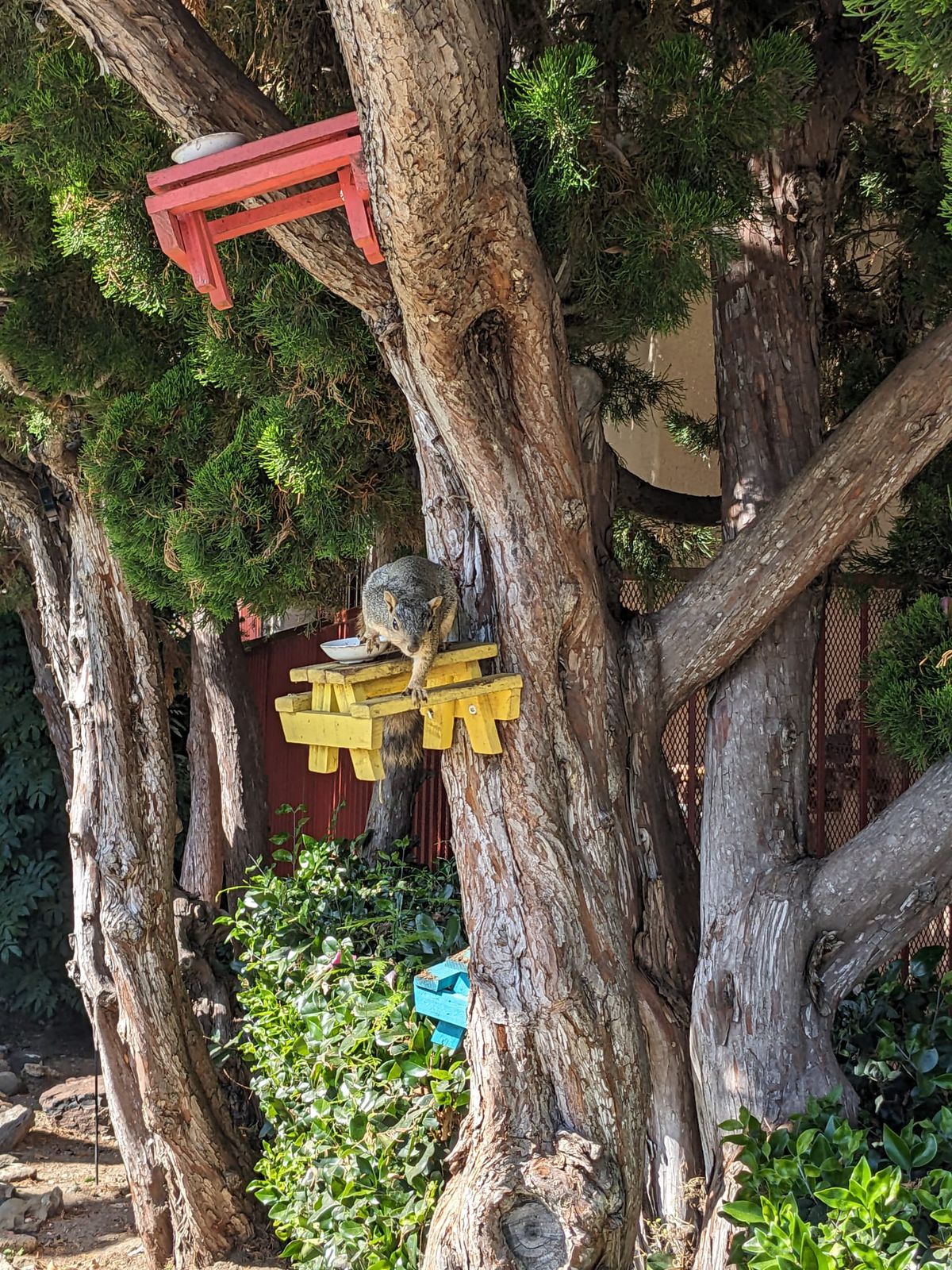 Three miniature picnic tables in red, yellow, and cyan affixed to a tree. A squirrel is on the yellow table.