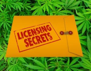 Tips för snabbare förberedelse av lokala och statliga cannabislicenser