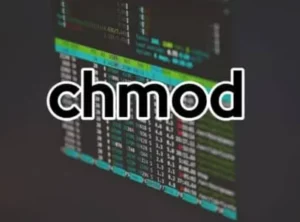 עדכון הרשאות קובץ בלינוקס עם Chmod