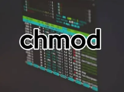 File Permissions in Linux with chmod