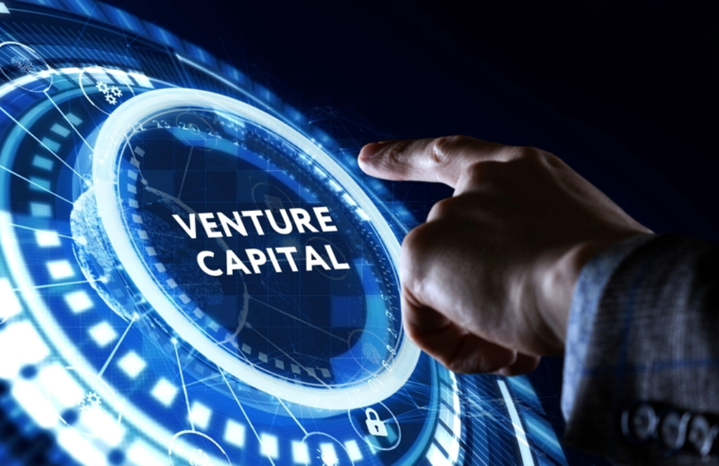 What are venture capitalists?