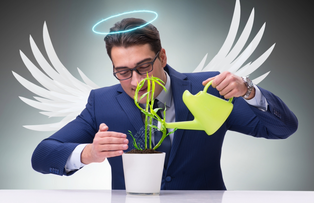The Bottom Lineventure capitalist vs angel investor