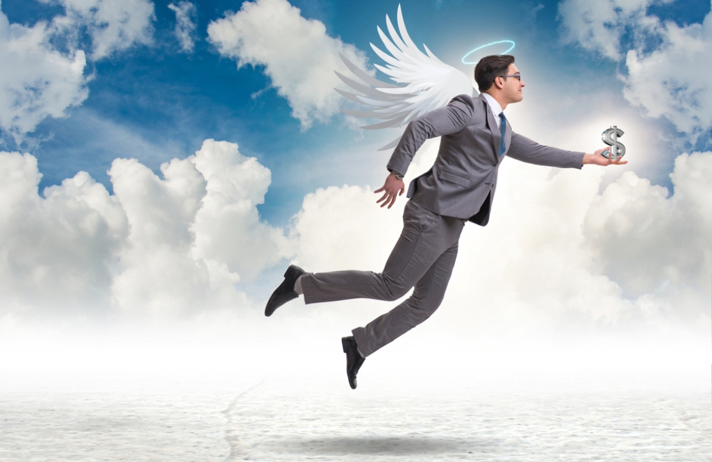 What are Angel investors?