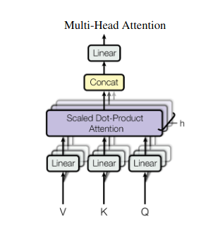 Multi-Head Attention: Seeing Through Different Lenses