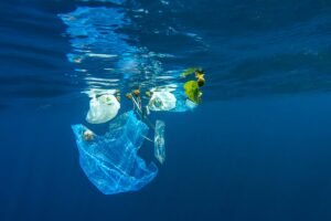 Что произойдет с биоразлагаемым пластиком, если он попадет в море? Новое исследование | Энвиротек