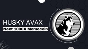 ฮัสกี้ Avax คืออะไร? Top Dog of Avalanche - Asia Crypto วันนี้