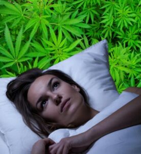 Co pomaga lepiej spać: alkohol czy marihuana? - Nowe badanie dotyczące bezsenności pokazuje, dlaczego zioło to najlepszy wybór!