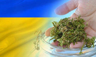 UKRAINE LEGALIZES MEDICAL MARIJUANA