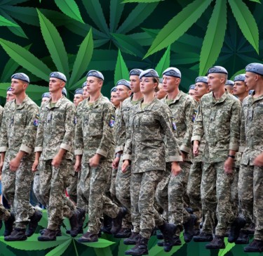Pourquoi l'Ukraine a légalisé la marijuana médicale pendant l'invasion russe