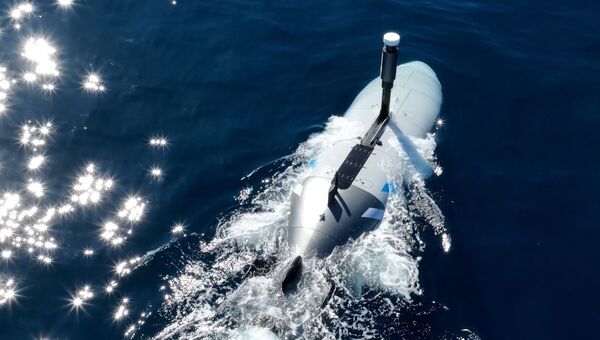 Grupo Naval desenvolverá protótipo UCUV para a Marinha Francesa